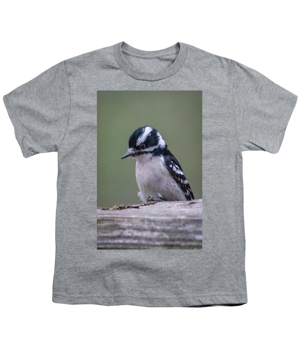 2019 Youth T-Shirt featuring the photograph Downy Woodpecker 2 by Gerri Bigler