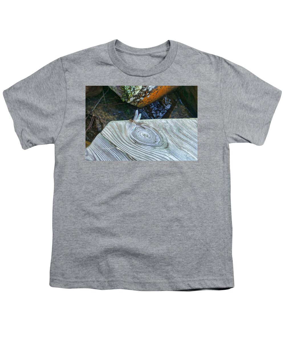 Dragonfly Youth T-Shirt featuring the photograph Dragon Fly with Rainbow Wings by Russel Considine