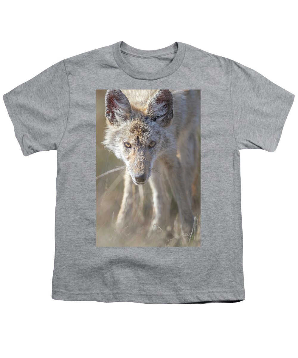 Coyote Youth T-Shirt featuring the photograph Eyes Of A Predator by Everet Regal