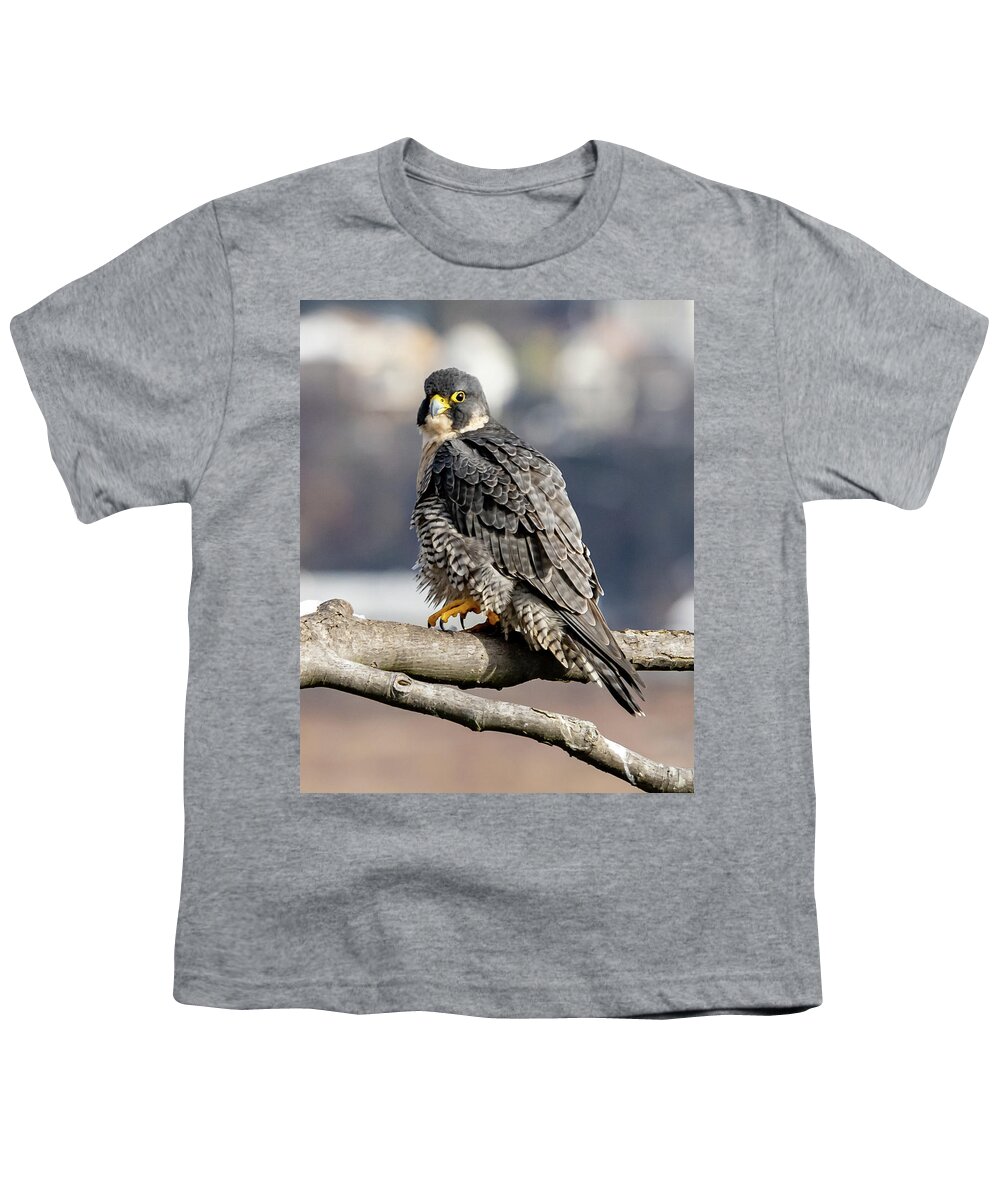 Birds Youth T-Shirt featuring the photograph Falcon in Winter-2 by Kevin Suttlehan