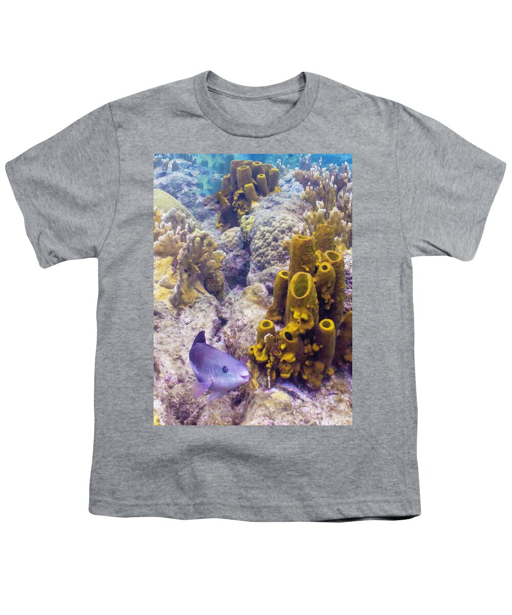 Ocean Youth T-Shirt featuring the photograph Friendly Queen by Lynne Browne