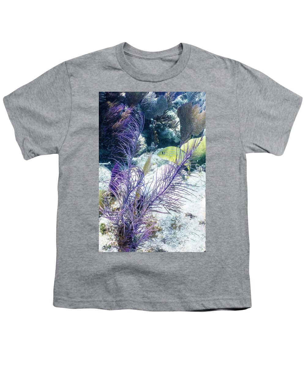 Animals Youth T-Shirt featuring the photograph Frilly by Lynne Browne