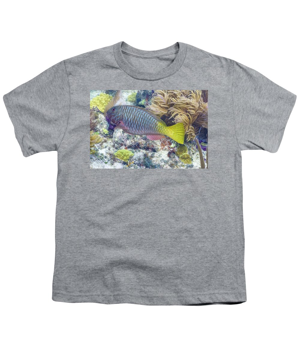 Fish Youth T-Shirt featuring the photograph Fully Armored by Lynne Browne