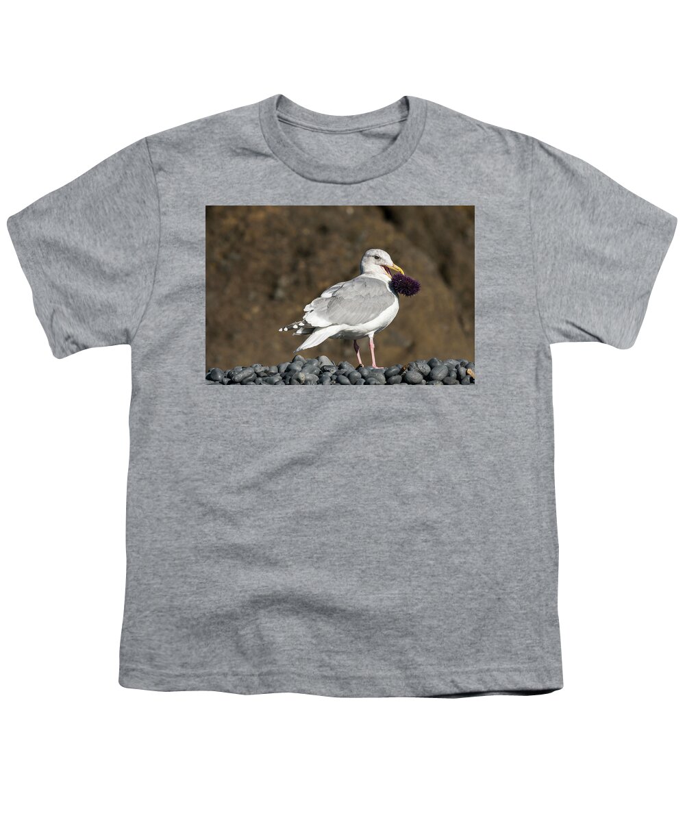 Animals Youth T-Shirt featuring the photograph Gull With Purple Sea Urchin by Robert Potts