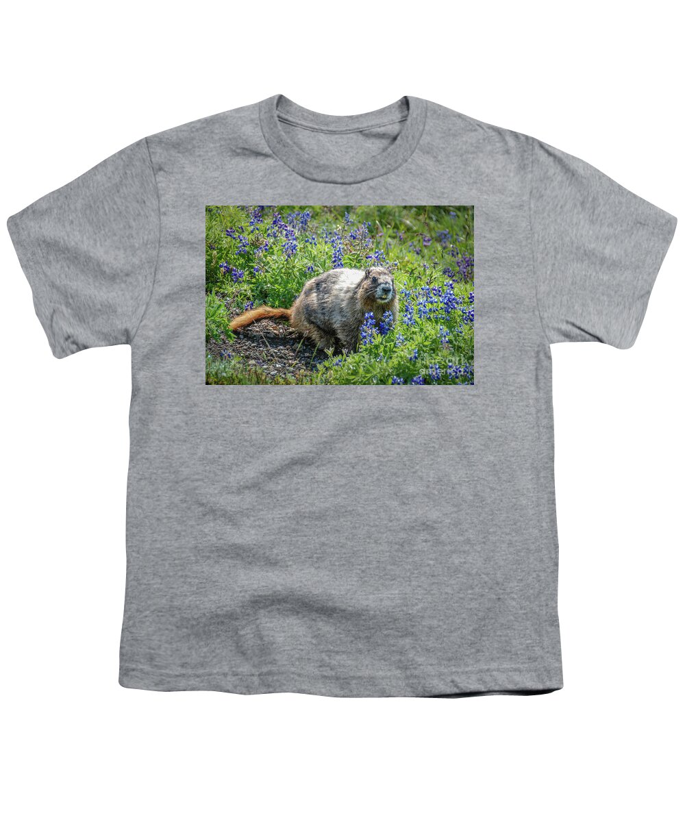 Hoary Marmot Youth T-Shirt featuring the photograph Hoary Marmot in Subalpine Lupine #3 by Nancy Gleason