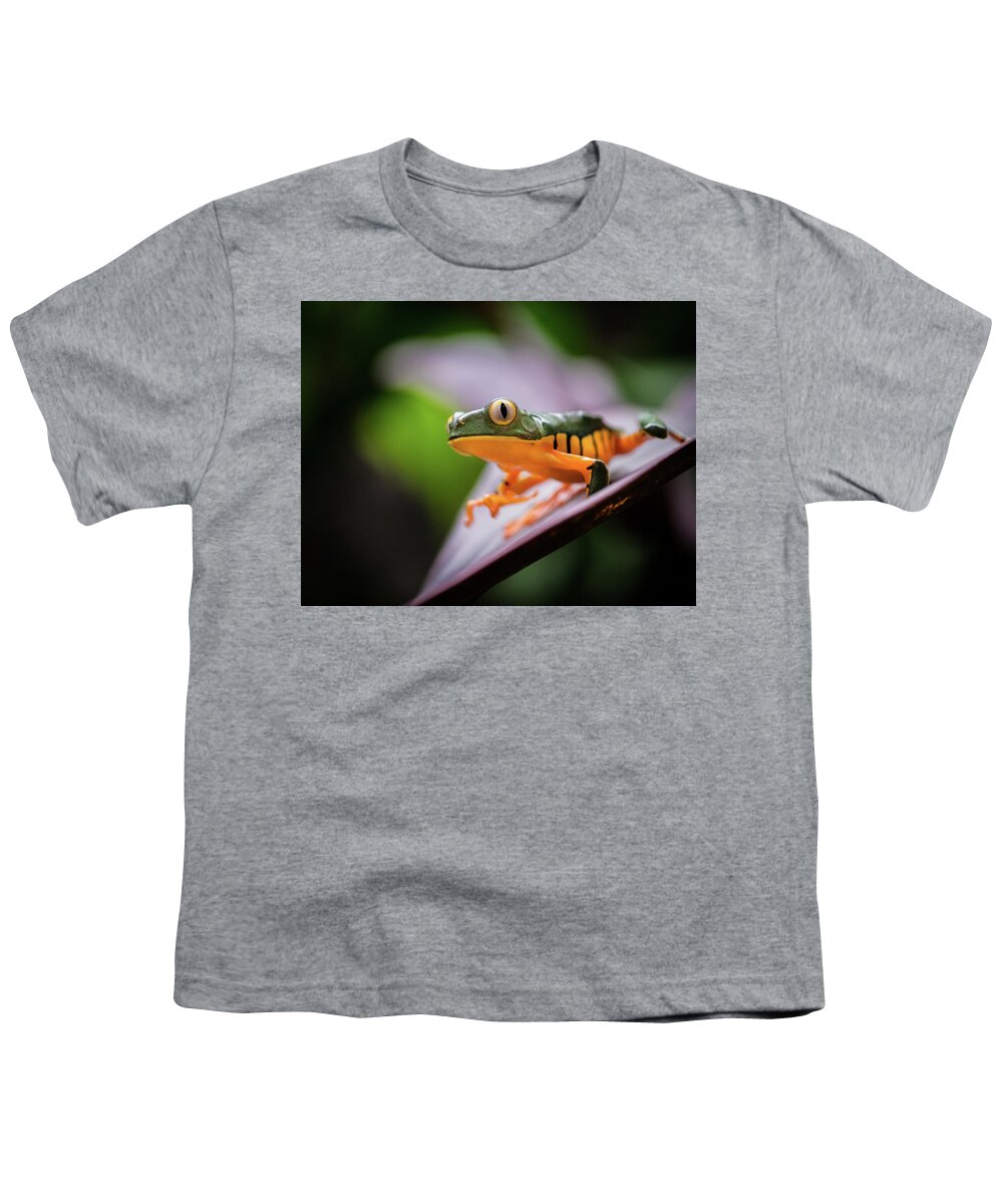 Frog Youth T-Shirt featuring the photograph I See You by Jim Miller
