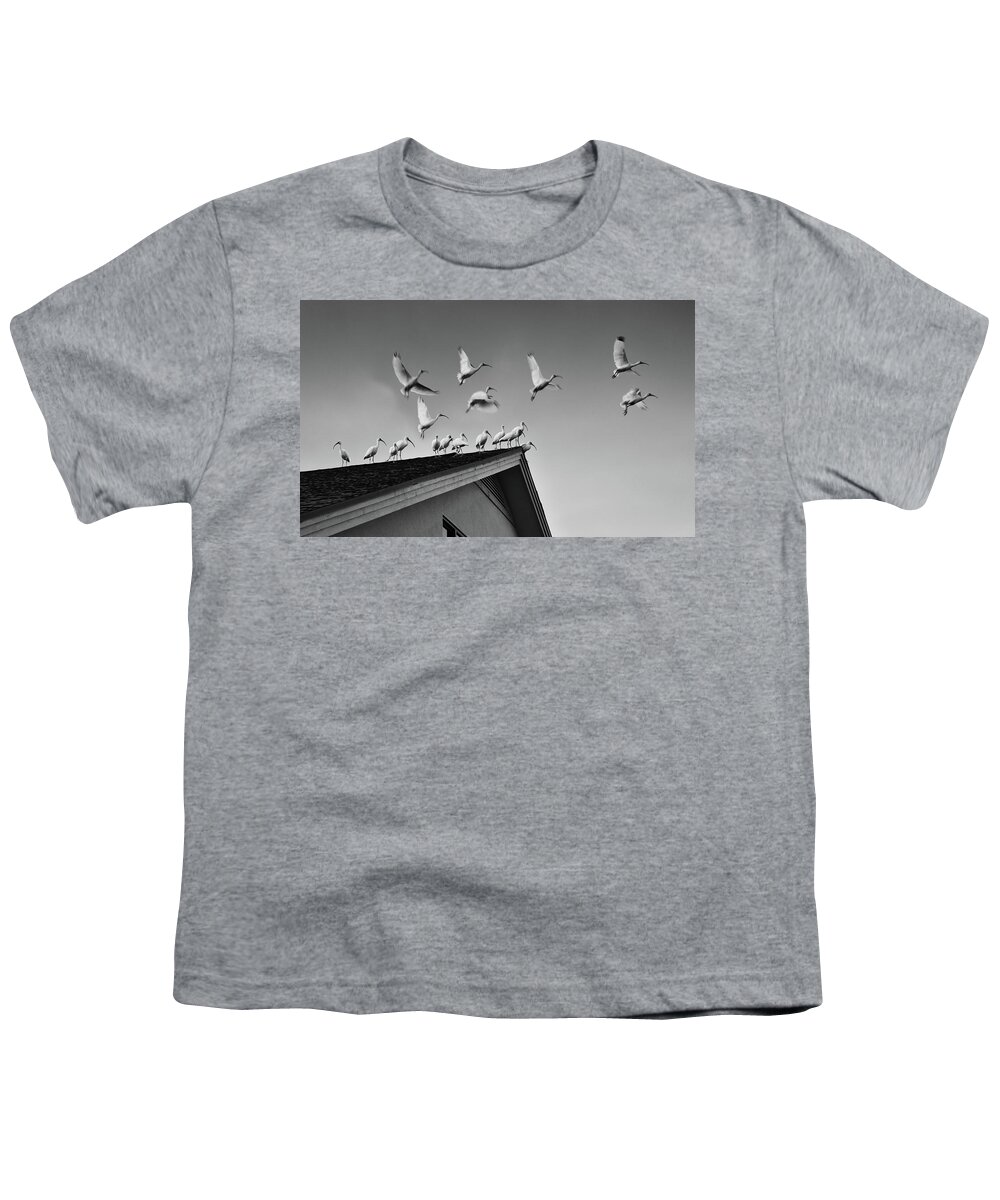Animals Youth T-Shirt featuring the photograph Ibis Flight bw by Laura Fasulo