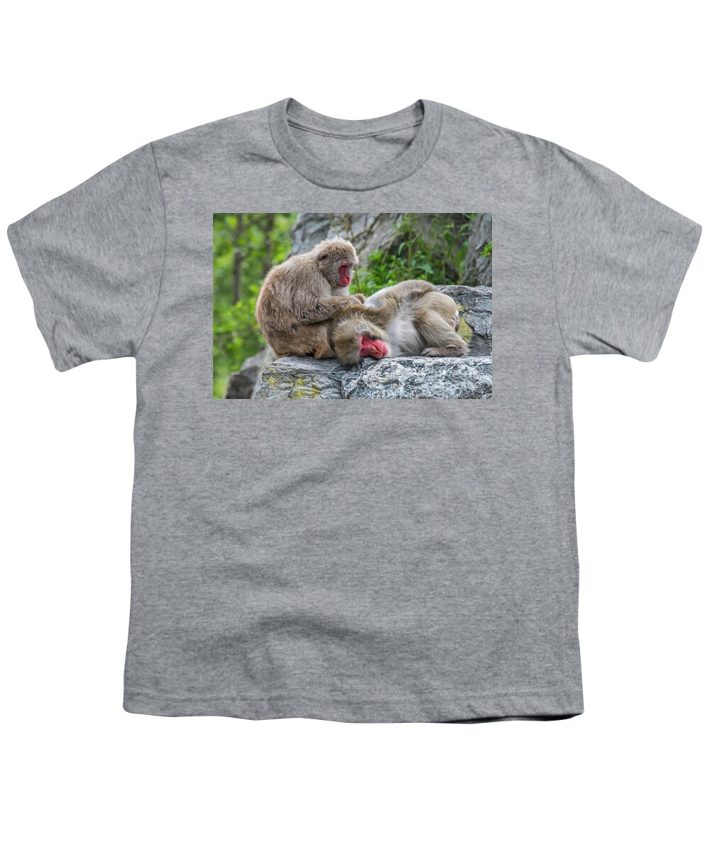 Japanese Macaque Youth T-Shirt featuring the photograph Japanese Macaques Grooming by Arterra Picture Library