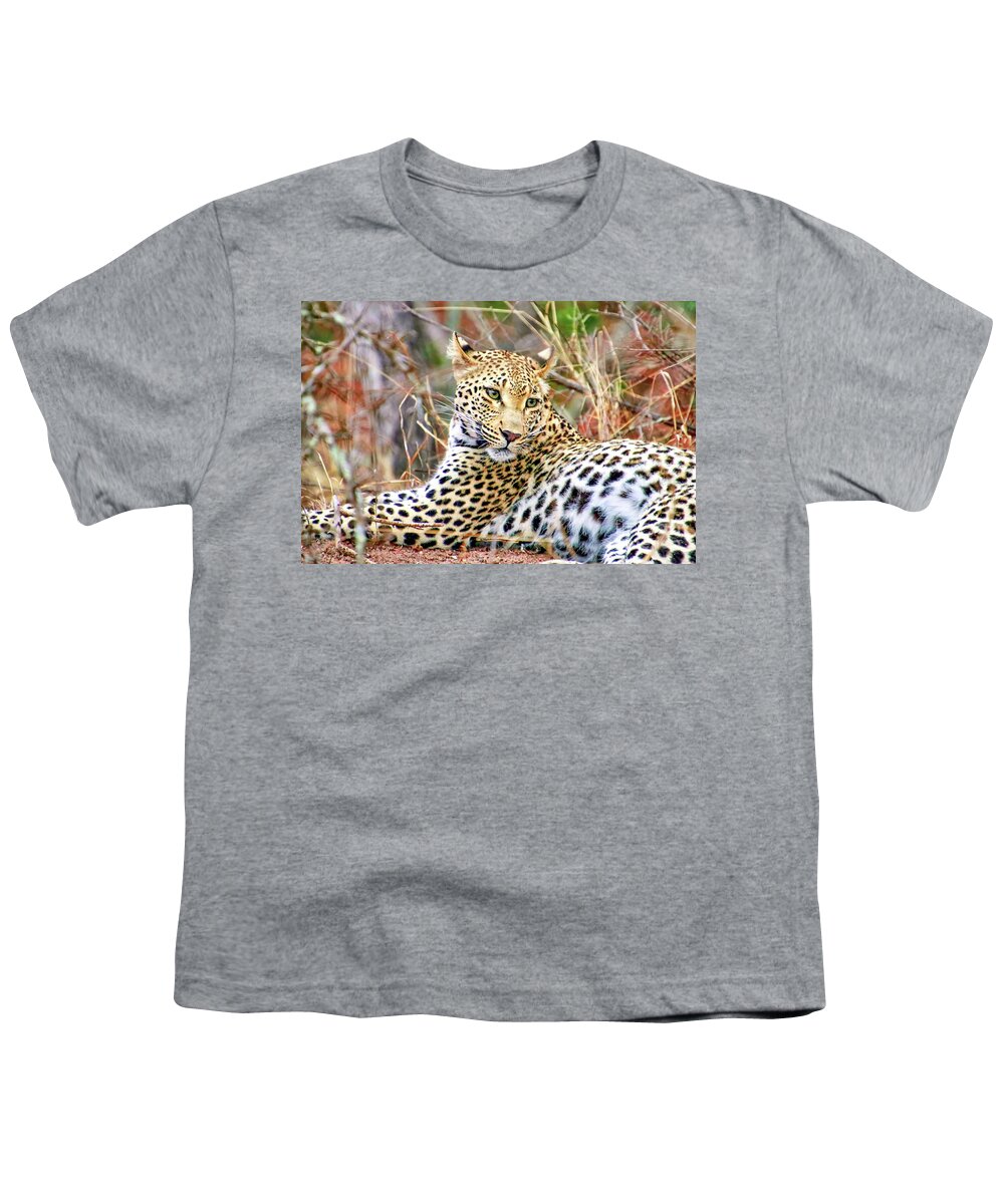 Africa Youth T-Shirt featuring the photograph Leopard 1 by Tom Watkins PVminer pixs