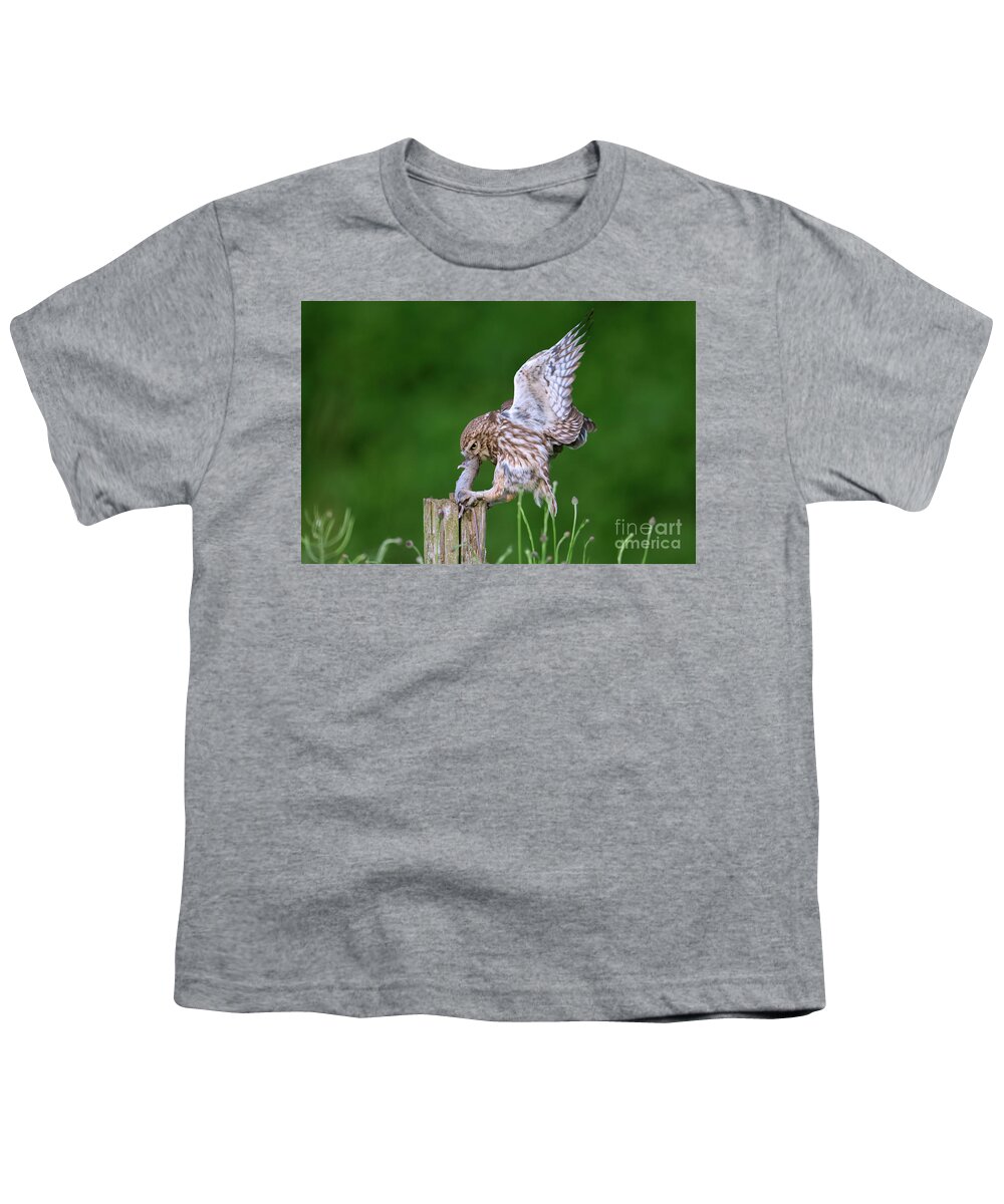 Little Owl Youth T-Shirt featuring the photograph Little Owl Landing with Mouse on Post by Arterra Picture Library