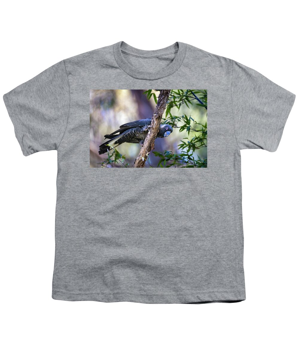 Carnaby's Black Cockatoo Youth T-Shirt featuring the photograph Male Carnaby's Black Cockatoo Male by Diana Andersen