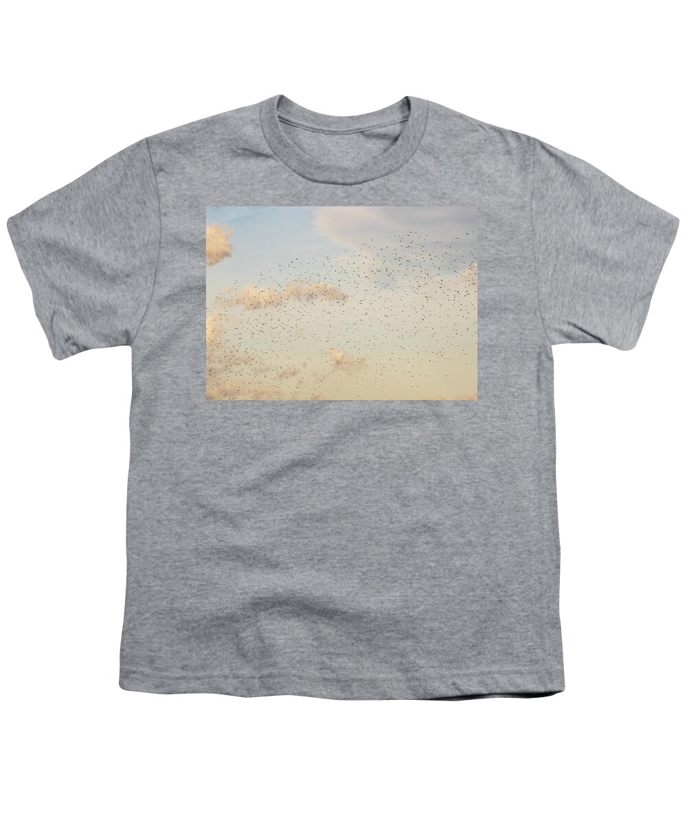 Animals Youth T-Shirt featuring the photograph MIgrating Birds In The Sky by Amelia Pearn