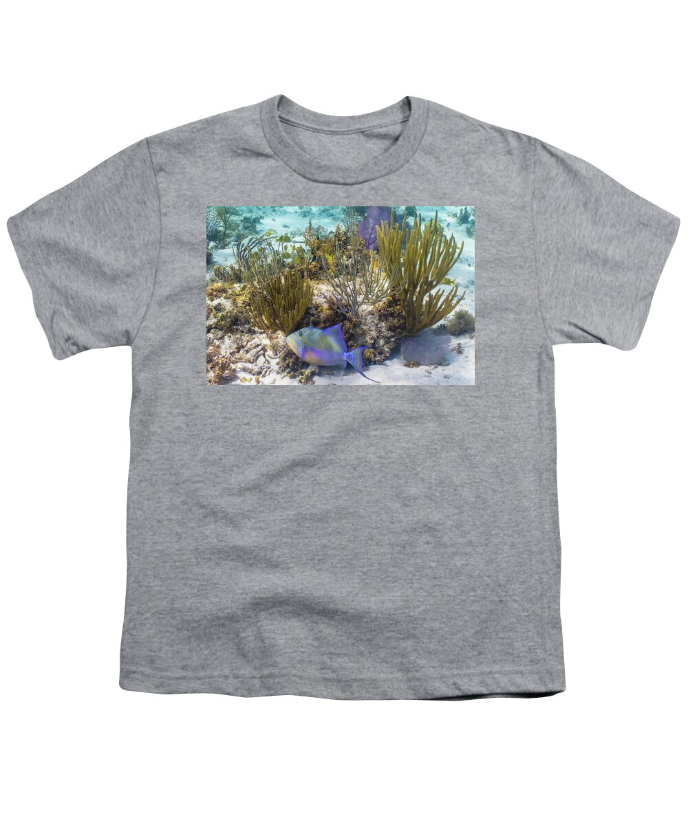 Animals Youth T-Shirt featuring the photograph More Royalty by Lynne Browne