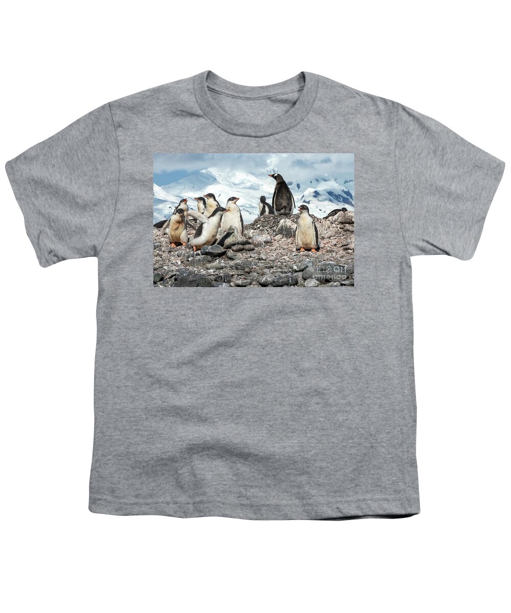 Bird Youth T-Shirt featuring the photograph Nestlings by Tom Watkins PVminer pixs