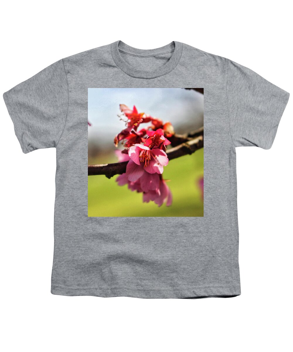 Newark Youth T-Shirt featuring the photograph Newark Cherry Blossom Series - 4 by Christopher Lotito
