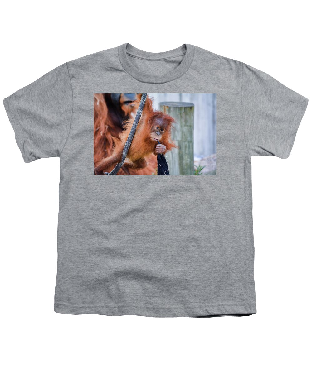 St. Paul Youth T-Shirt featuring the photograph Orangutan Baby Kemala by Kyle Hanson
