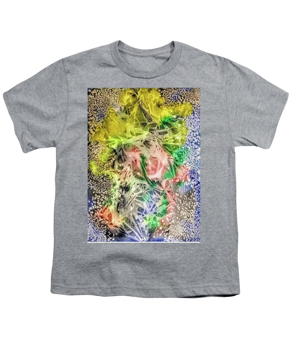 Abstract Youth T-Shirt featuring the painting Paramata by Eileen Kelly