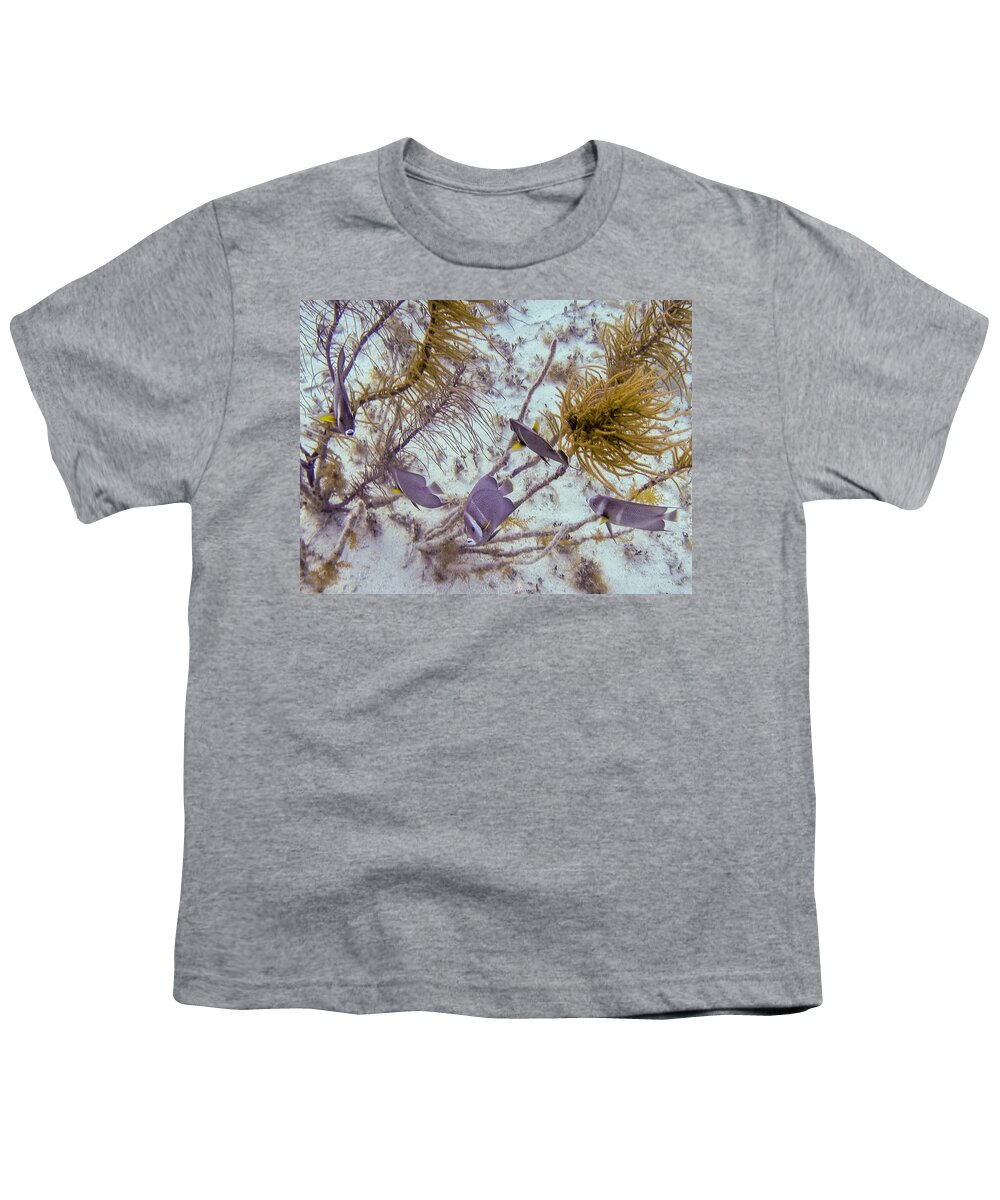 Animals Youth T-Shirt featuring the photograph School Dance by Lynne Browne