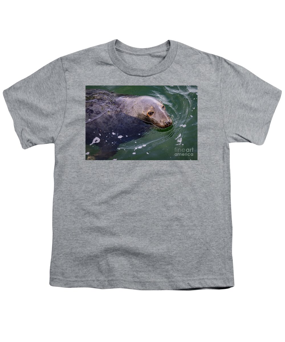 Seal Youth T-Shirt featuring the photograph Seeking a Handout by Jim Gillen