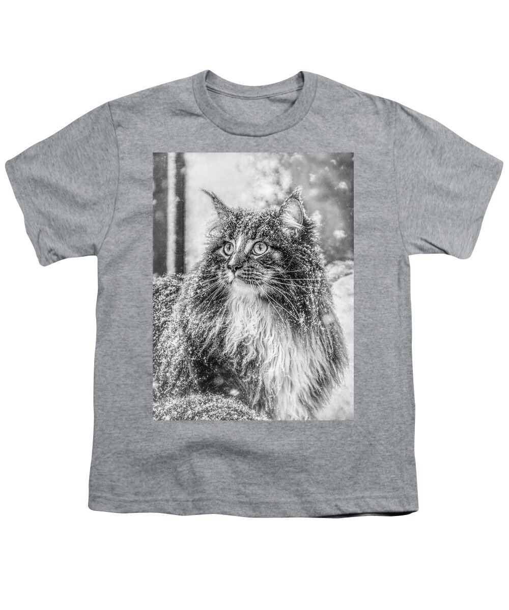 Cat Youth T-Shirt featuring the photograph Snow experience 3 by Jaroslav Buna