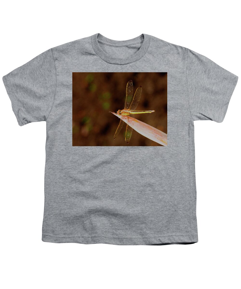 Dragonfly Youth T-Shirt featuring the photograph Sunning Dragon by Bill Barber