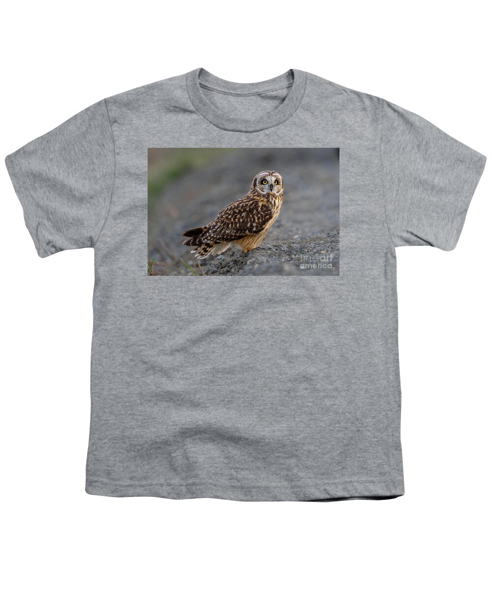 Asio Flammeus Youth T-Shirt featuring the photograph Sunset Light on Short-eared Owl by Nancy Gleason