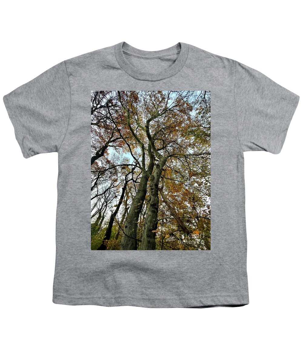 Trees Youth T-Shirt featuring the photograph Tall Autumn Trees 3 by CAC Graphics