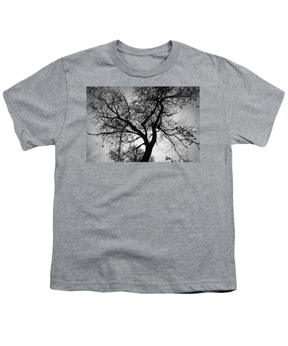 Abstract Youth T-Shirt featuring the photograph Tree Silhouette BW by David Gordon