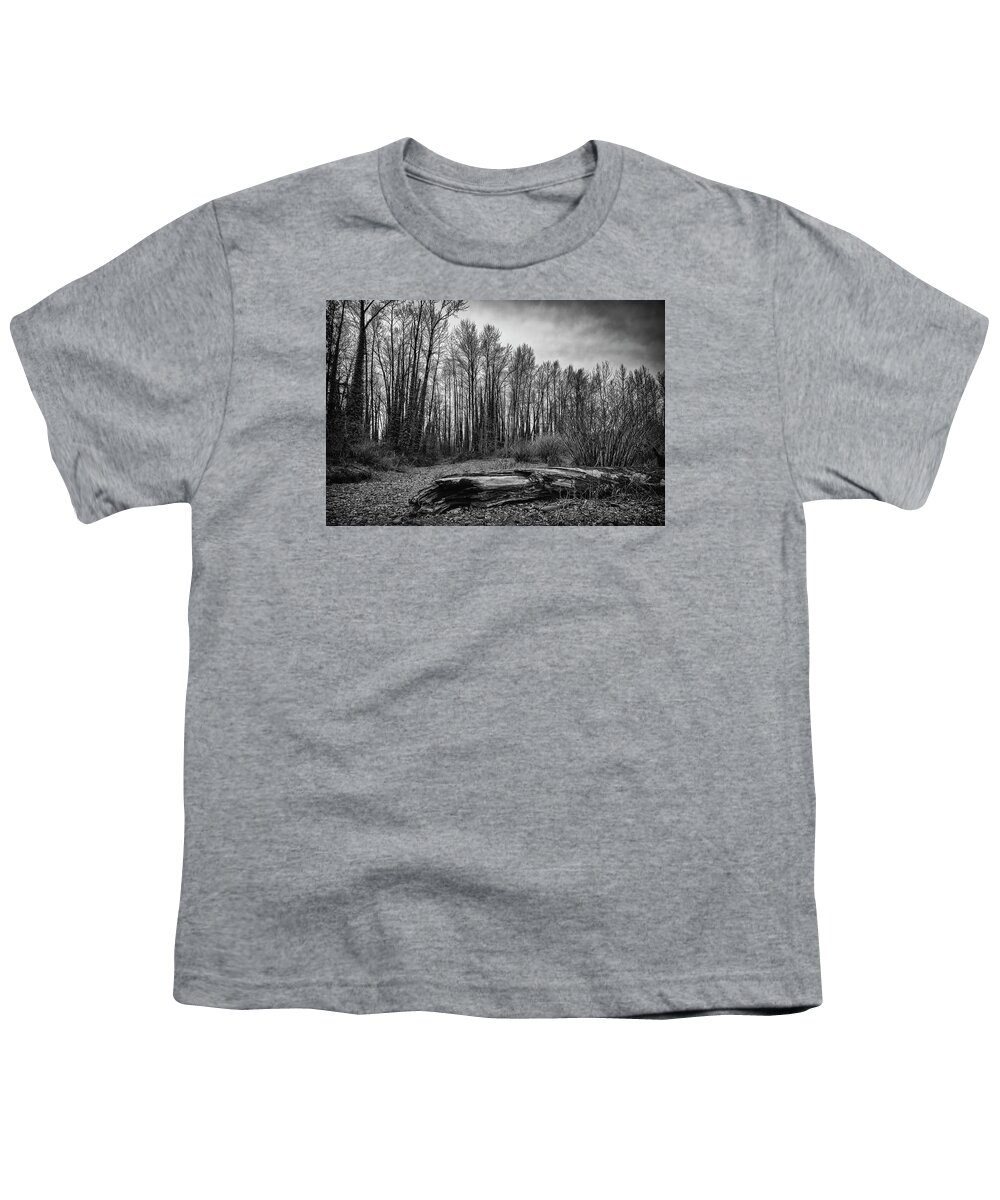 Trees Youth T-Shirt featuring the photograph Waiting for Spring by Steven Clark
