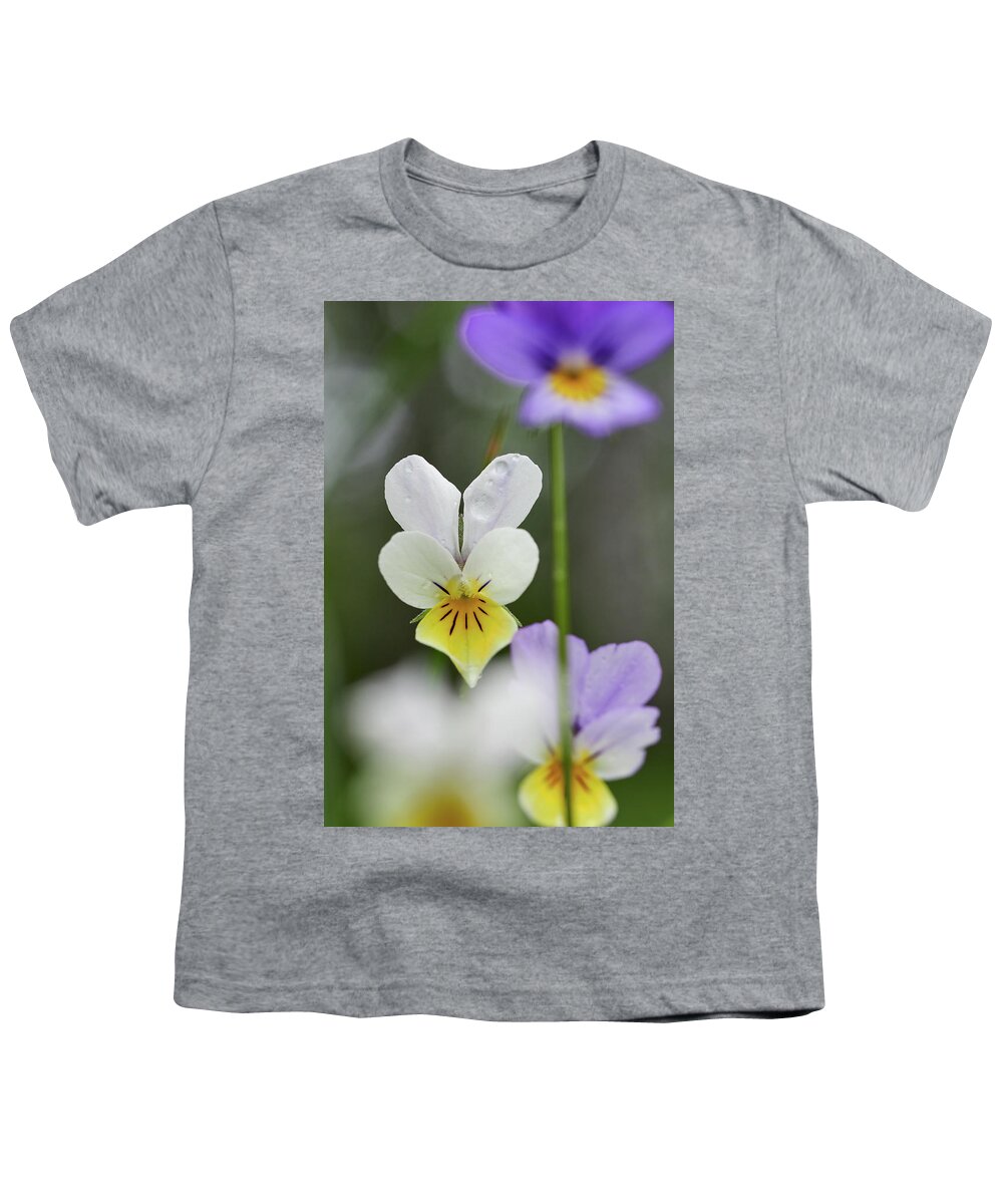 Finland Youth T-Shirt featuring the photograph White and yellow Wild pansy by Jouko Lehto