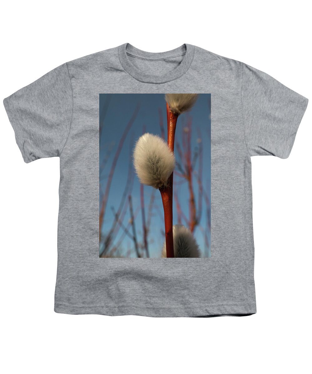 Spring Youth T-Shirt featuring the photograph Willow Catkin by Phil And Karen Rispin