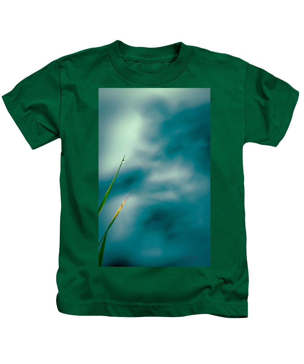 Grass Kids T-Shirt featuring the photograph Morning Dew #3 by Bob Orsillo