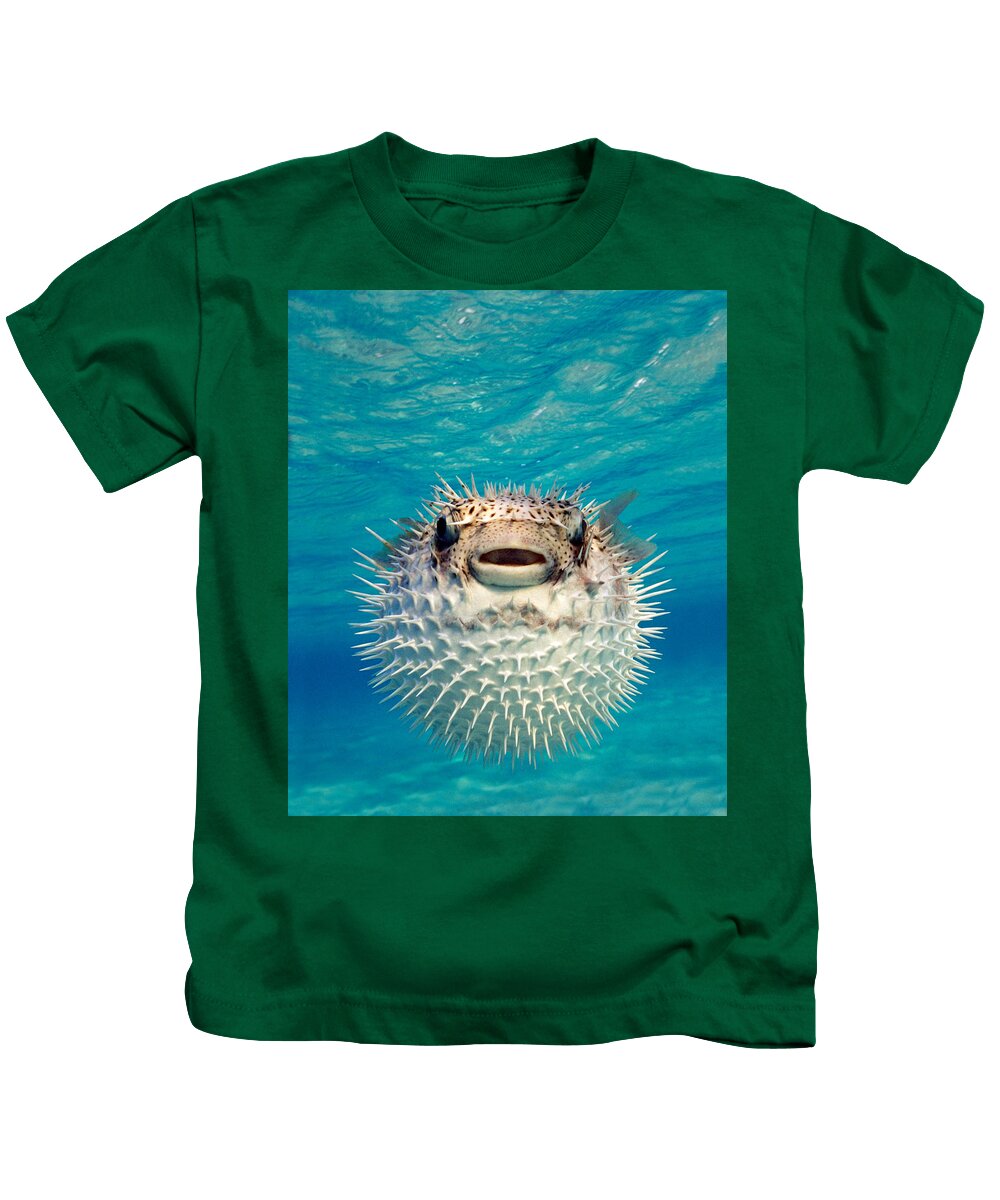 Photography Kids T-Shirt featuring the photograph Close-up Of A Puffer Fish, Bahamas by Panoramic Images