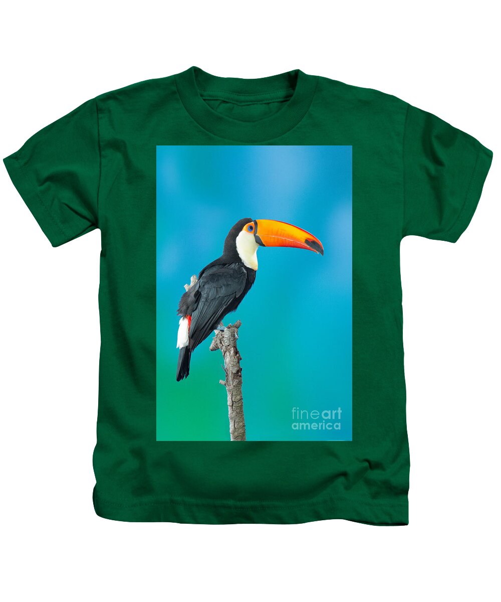 Animal Kids T-Shirt featuring the photograph Toco Toucan Perched by Anthony Mercieca