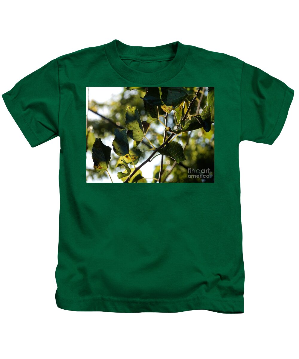 Leaves Kids T-Shirt featuring the photograph Autumn Leaves by Diamante Lavendar