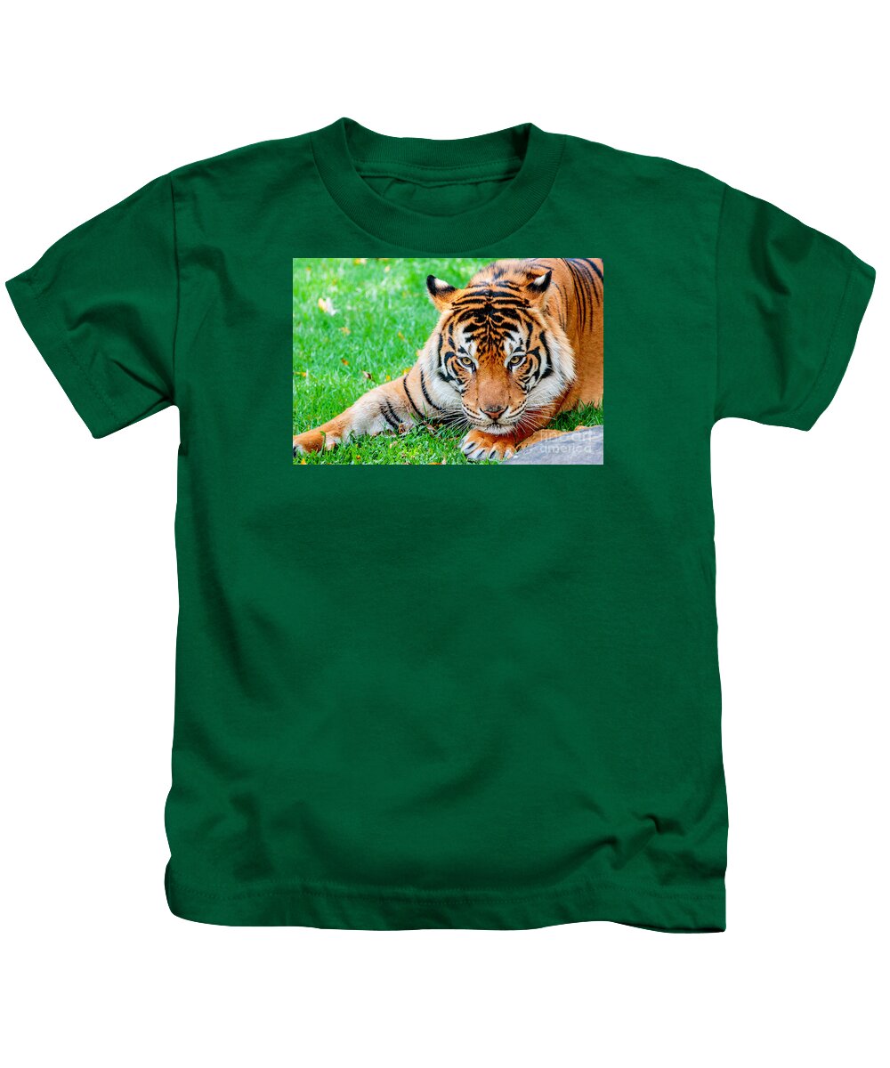 Animal Kids T-Shirt featuring the photograph Pre-pounce Tiger by Ray Shiu