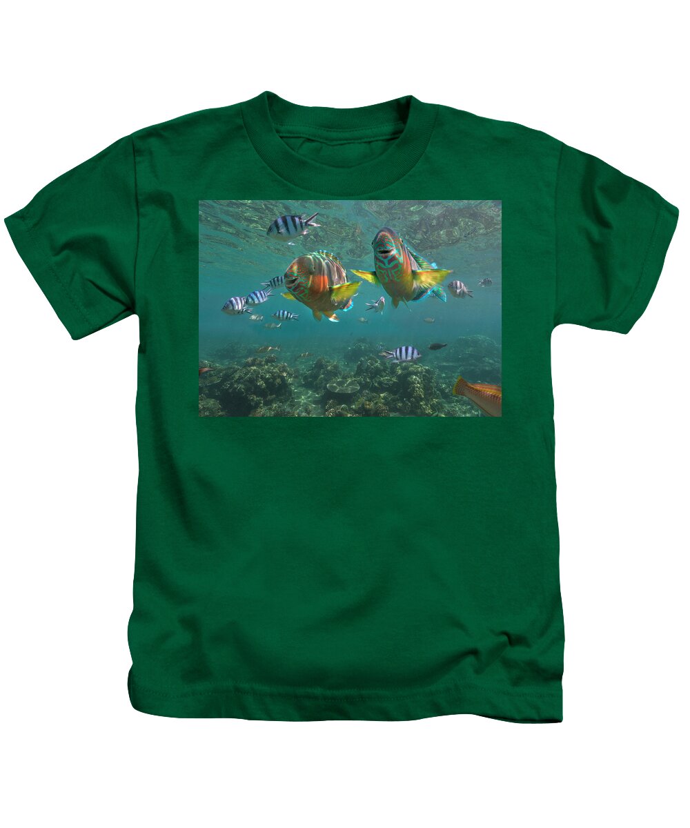 00586445 Kids T-Shirt featuring the photograph Parrotfish Pair And Sergeant Major Damselfish, Negros Oriental, Philippines by Tim Fitzharris