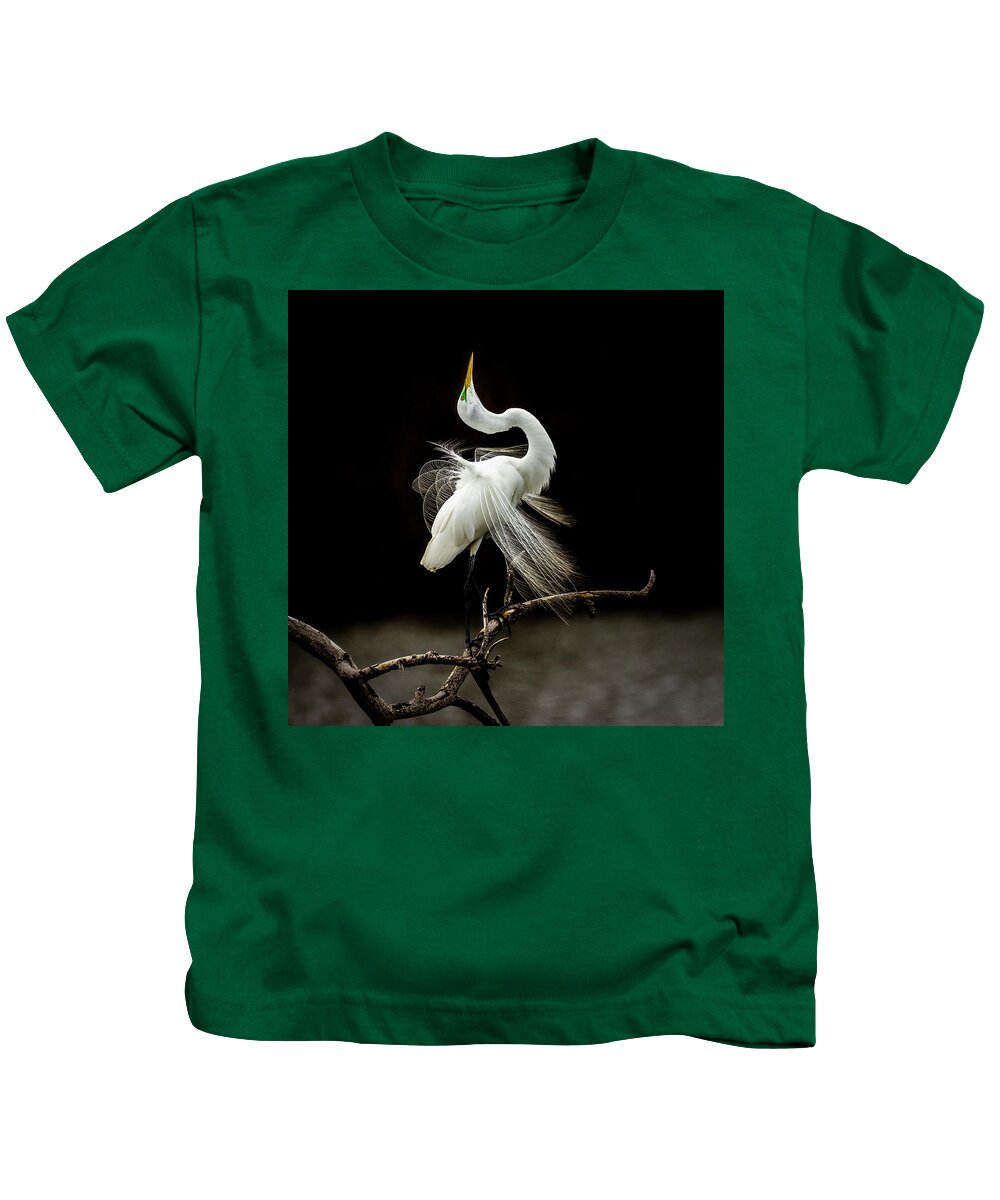Egret Kids T-Shirt featuring the photograph Great White Egret Feathers III by Patti Deters