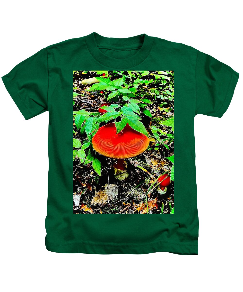 Southern Tier Western New York Frewsburg Usa Cabin Living Kids T-Shirt featuring the photograph Shrooms by John Anderson