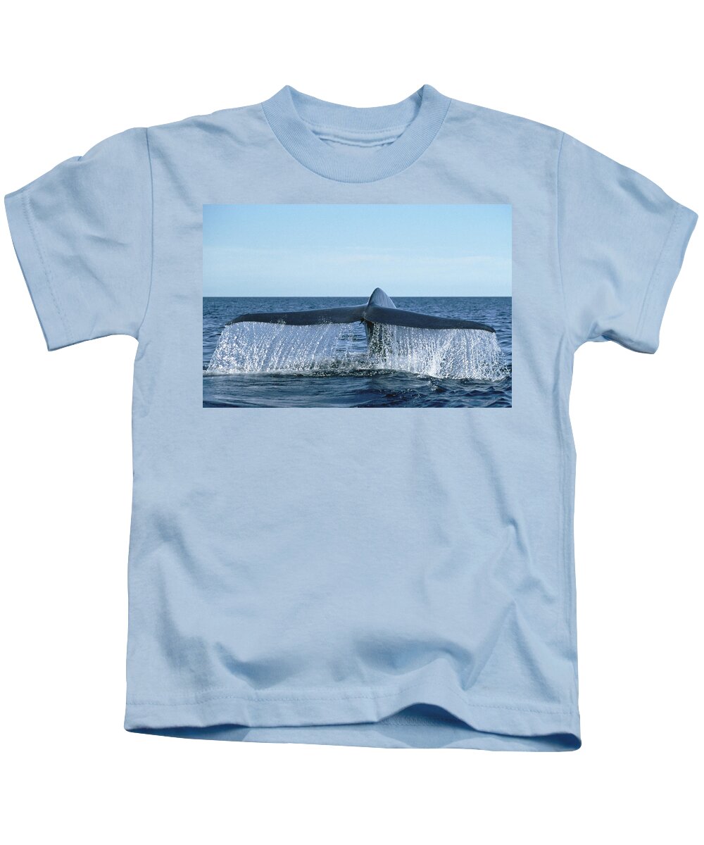 Feb0514 Kids T-Shirt featuring the photograph Blue Whale Tail Sea Of Cortez #1 by Mark Jones