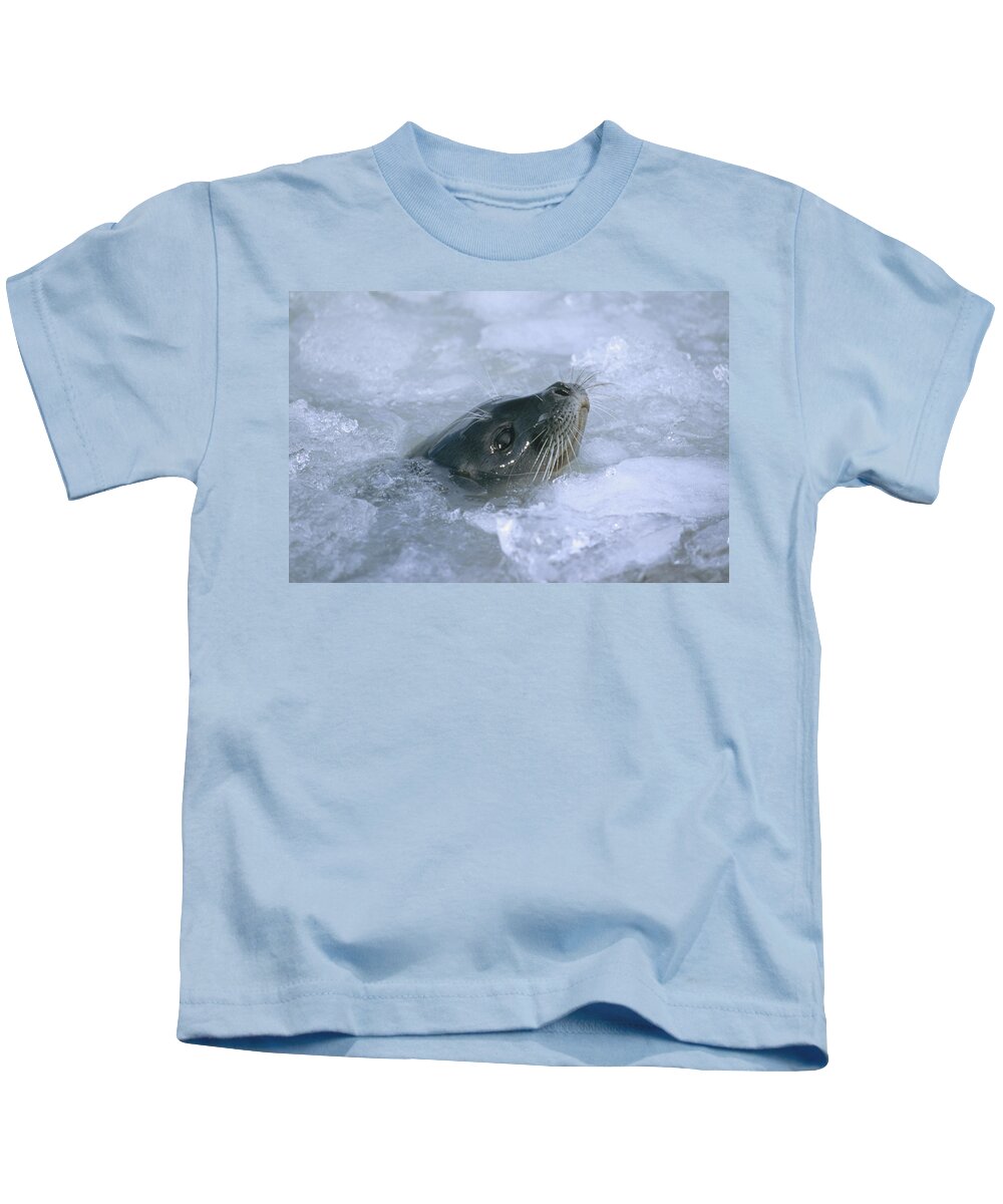 Feb0514 Kids T-Shirt featuring the photograph Ringed Seal Surfacing In Brash Ice #1 by Tui De Roy