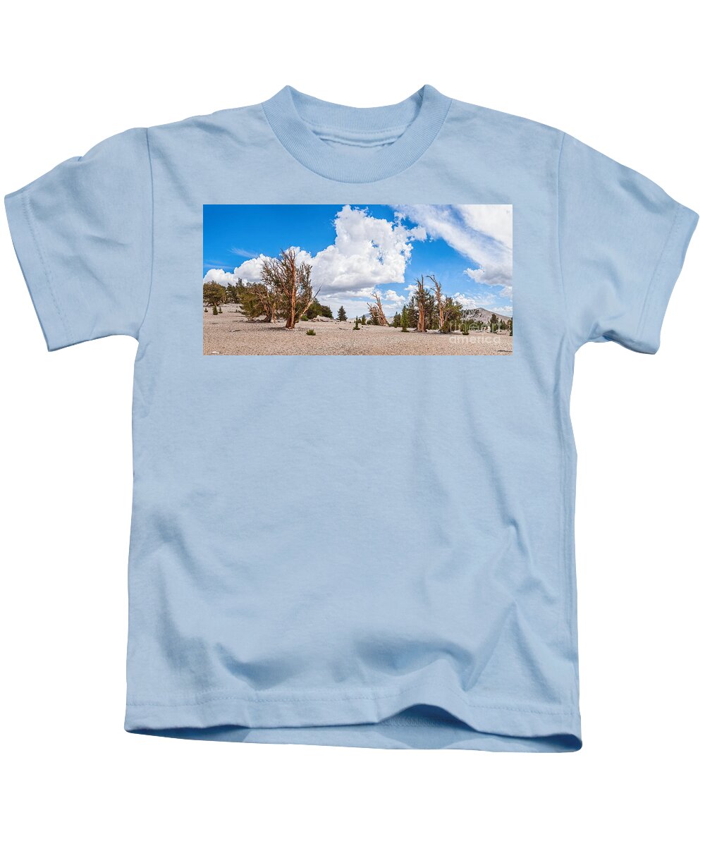 Ancient Bristlecone Pine Forest Kids T-Shirt featuring the photograph Ancient Panorama - Bristlecone Pine Forest #2 by Jamie Pham