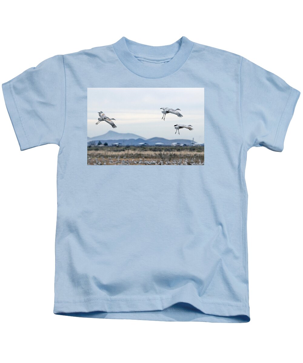 Sandhill Cranes Kids T-Shirt featuring the photograph Sandhill Cranes #4 by Tam Ryan