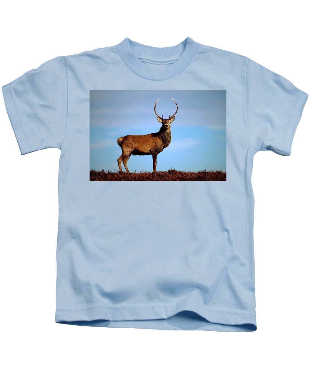 Red Deer Stag Kids T-Shirt featuring the photograph Red Deer Stag #7 by Gavin Macrae