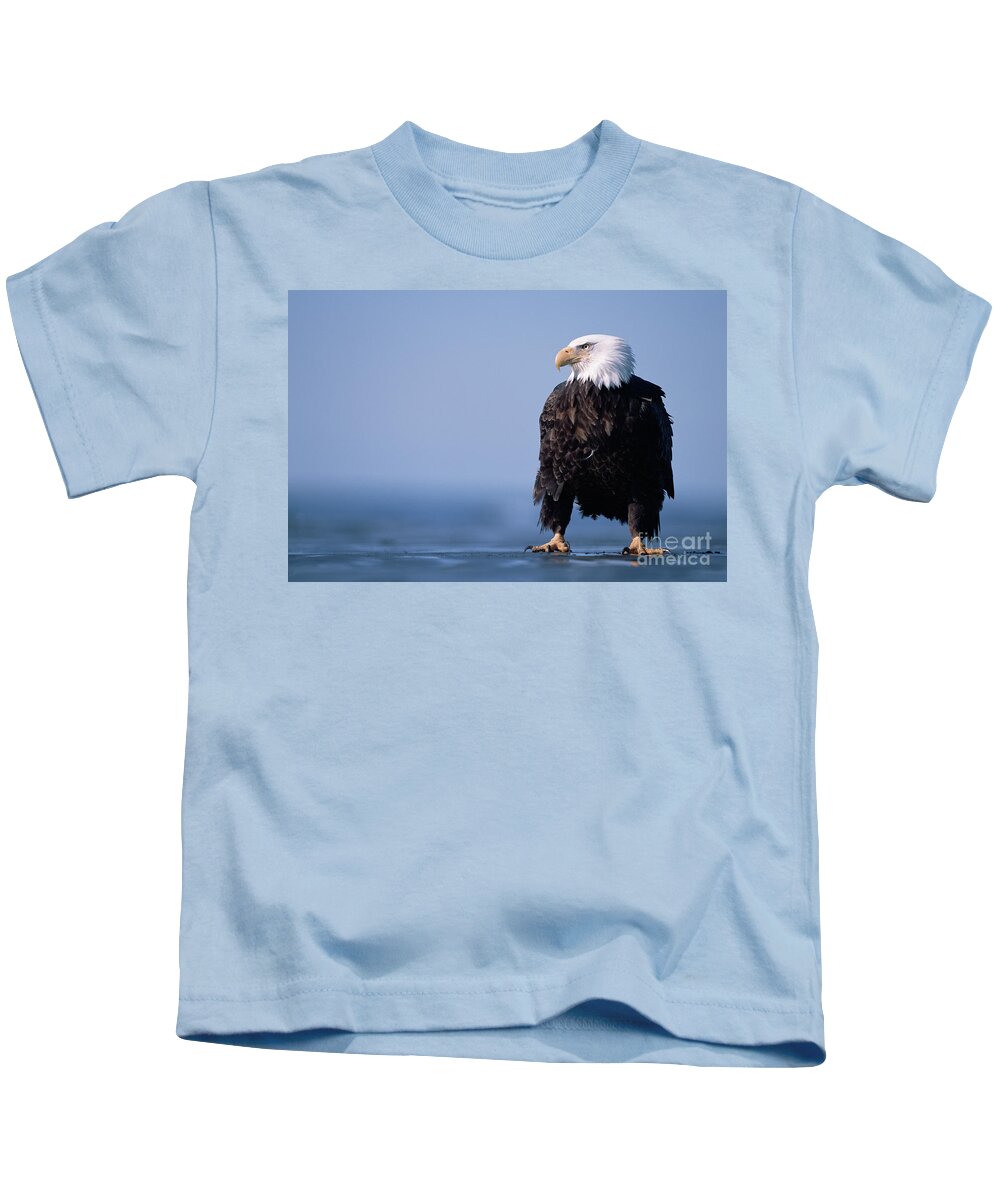 00343884 Kids T-Shirt featuring the photograph Bald Eagle At Low Tide by Yva Momatiuk John Eastcott