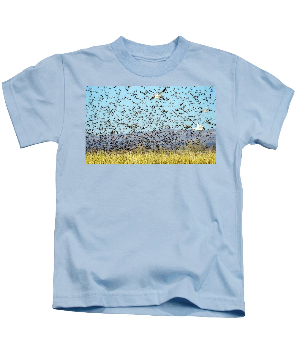 Birds Kids T-Shirt featuring the photograph Blackbirds and Geese by Steven Ralser