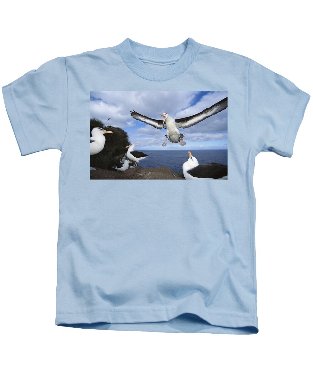 Feb0514 Kids T-Shirt featuring the photograph Campbell Albatross Coming In To Land by Tui De Roy