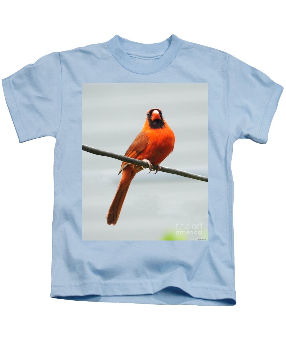 Redbird Kids T-Shirt featuring the photograph Cardinal III by Lizi Beard-Ward
