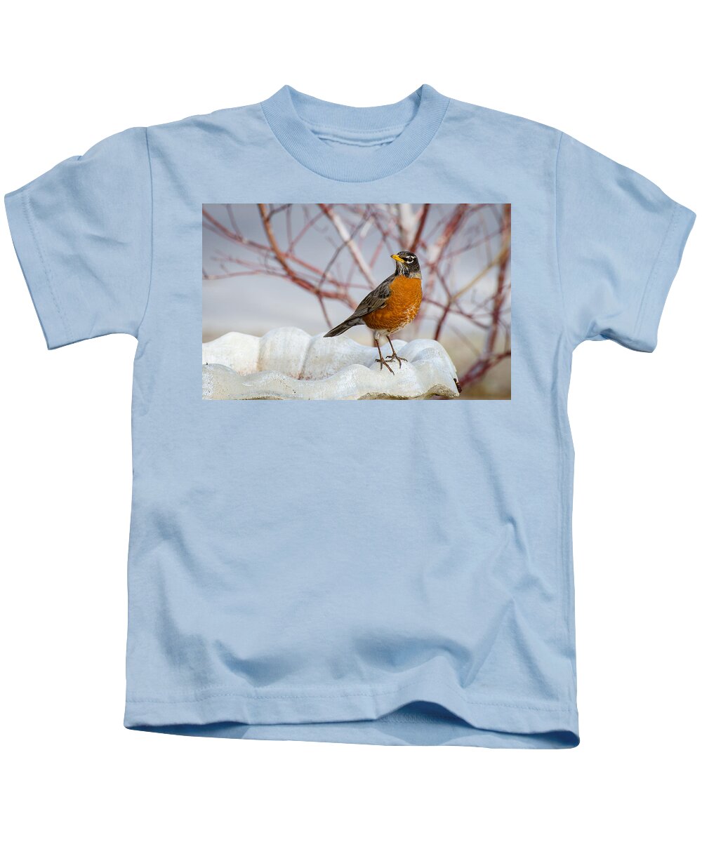 Robin Kids T-Shirt featuring the photograph Curious Robin by David Downs