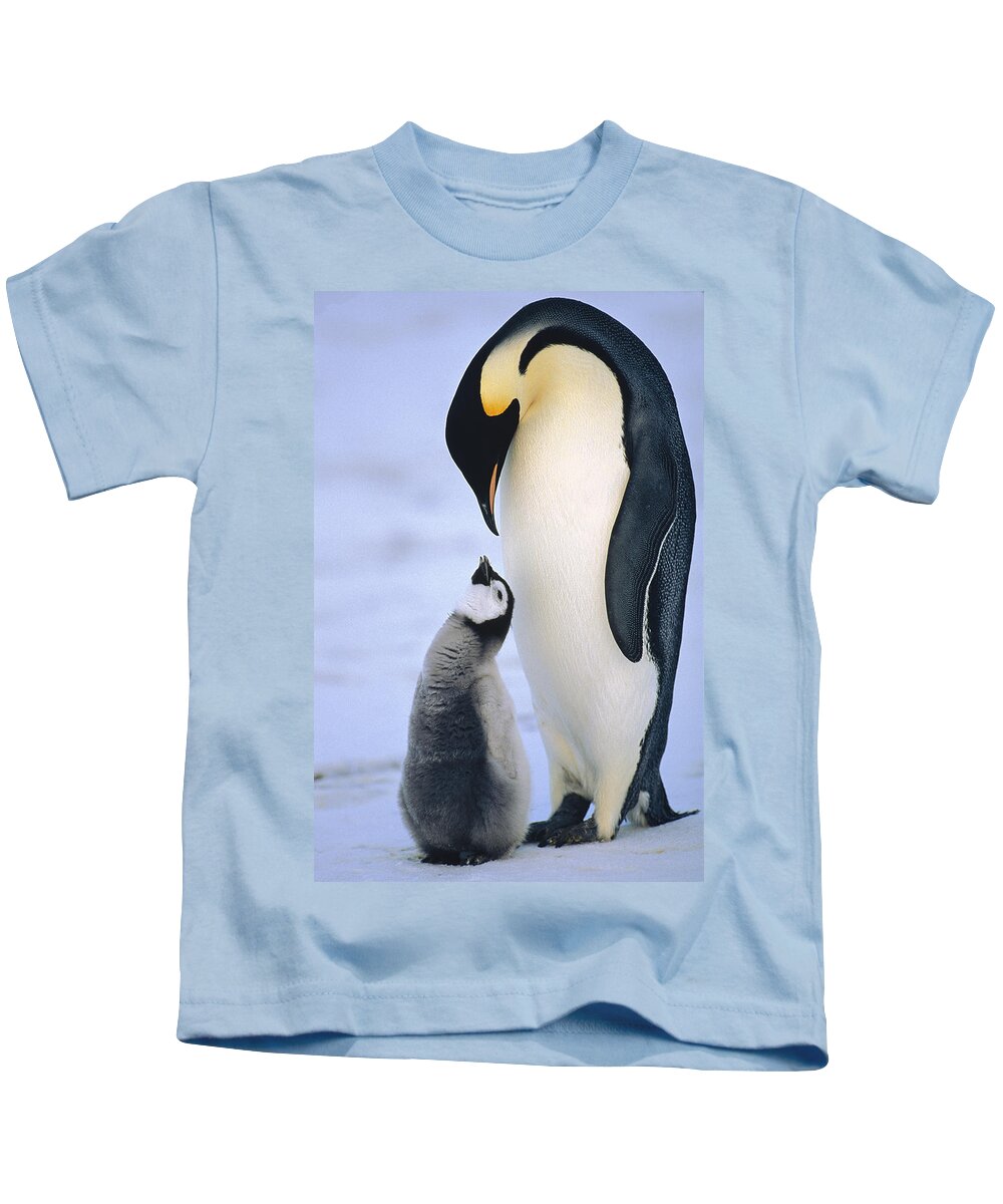 Feb0514 Kids T-Shirt featuring the photograph Emperor Penguin Adult With Chick by Konrad Wothe